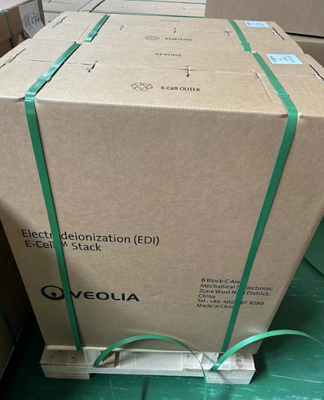Aliran 5,0 M3/H Veolia Suez EDI Modul E-Cell-3X Suez Untuk Menyediakan Air Ultra Murni