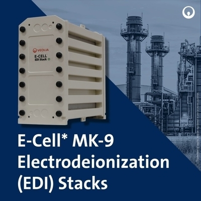 Veolia MK-9 EDI Stack 35 GPM Air Ultra Murni untuk Solar PV